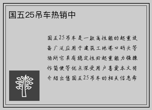 国五25吊车热销中