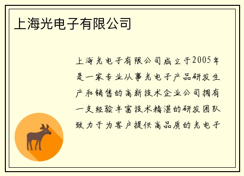 上海光电子有限公司